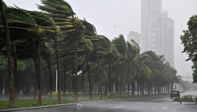 Thông tin mới nhất về cơn bão Yagi  