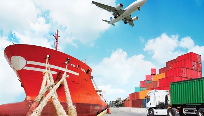 TCO đã bán hết gần 2 triệu cổ phiếu quỹ và thu về 42 tỷ đồng