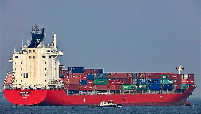 HAH muốn bán toàn bộ 1,4 triệu cổ phiếu quỹ để đóng tàu mới