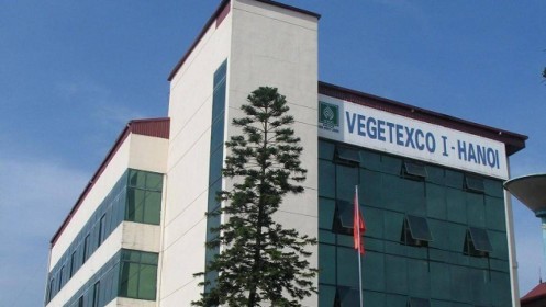Vegetexco bị xử phạt 85 triệu đồng do 'giấu' Báo cáo tài chính