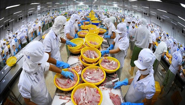 Thị giá VHC tăng nóng, Vĩnh Hoàn mang toàn bộ 1,43 triệu cổ phiếu quỹ ra bán