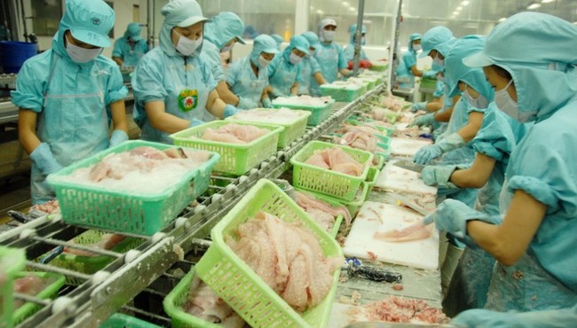Phó Tổng Giám đốc Nguyễn Thanh Hải vừa trở thành cổ đông lớn tại IDI