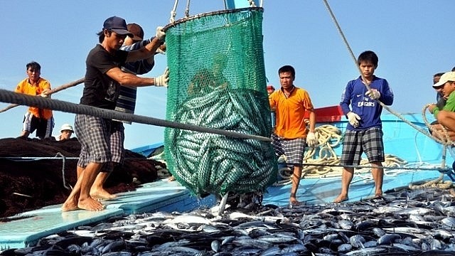 VHC, ANV là sự lựa chọn cho ngành thuỷ sản ở thời gian này?