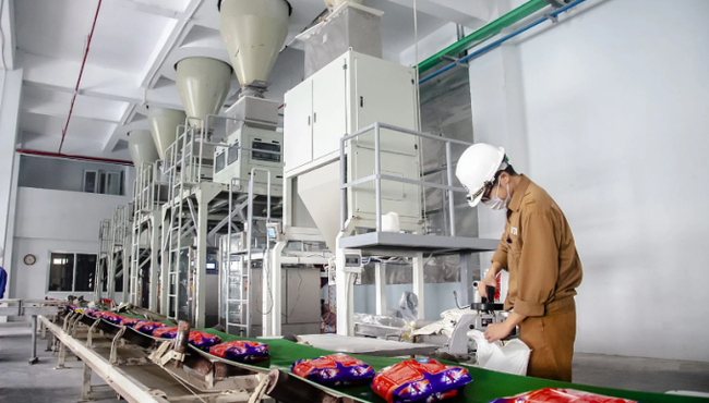 Vinachem đấu giá trọn lô gần 18% vốn HVT với giá 127 tỷ đồng