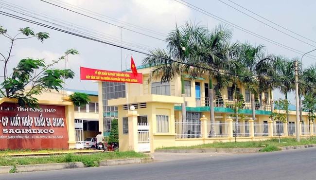 Xuất nhập khẩu Sa Giang (SGC) bị phạt 85 triệu đồng