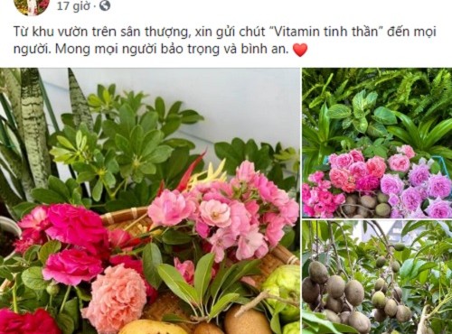 Ngắm vườn trái cây trĩu quả trong biệt thự của Quyền Linh