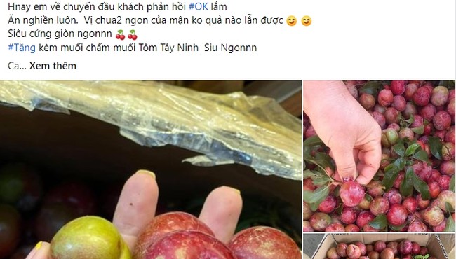 'Cháy hàng' mận hậu trái mùa dù giá gần nửa triệu đồng/kg 