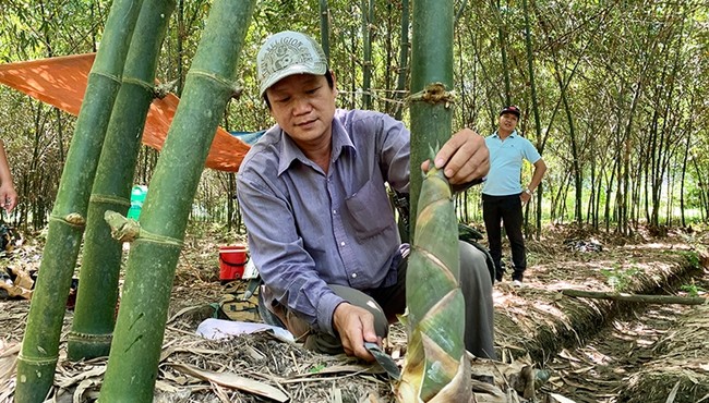 Những loài cây dại giúp nông dân làm giàu 