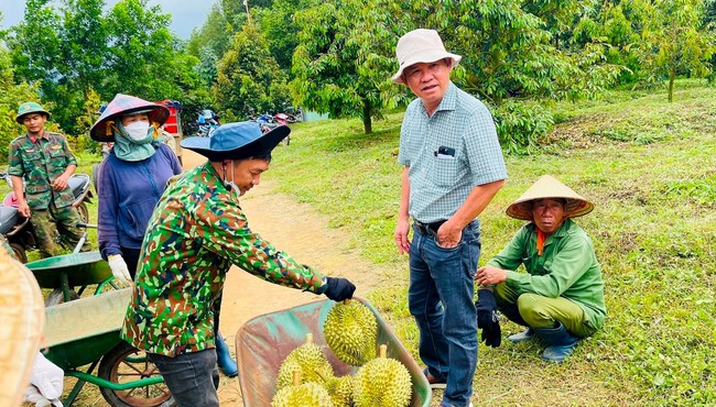 Đi xem vườn sầu riêng lớn nhất thế giới của ông Đoàn Nguyên Đức 