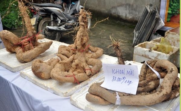 Loại cây dây leo hoang dại, nay hút khách với giá từ 70.000 đồng/kg 