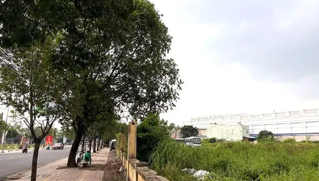 Đồng Nai: Vận tải Vĩnh Phú lãi lỗ ra sao khi quản lý 'đất vàng' không hiệu quả?