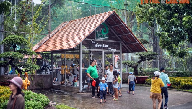 Ngất ngây ngắm vườn chim ở trung tâm Sài Gòn