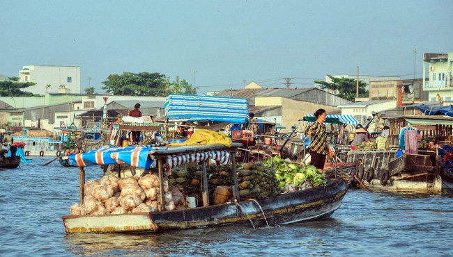 Du ngoạn cảnh sông nước cực độc đáo ở Cần Thơ