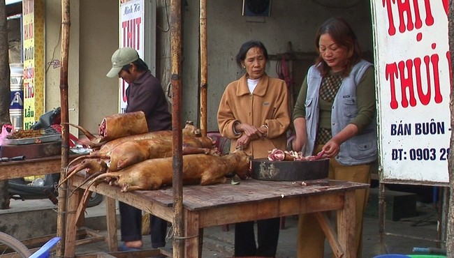 Khách tây nói gì về món thịt cầy ở Việt Nam hàng chục năm trước? 