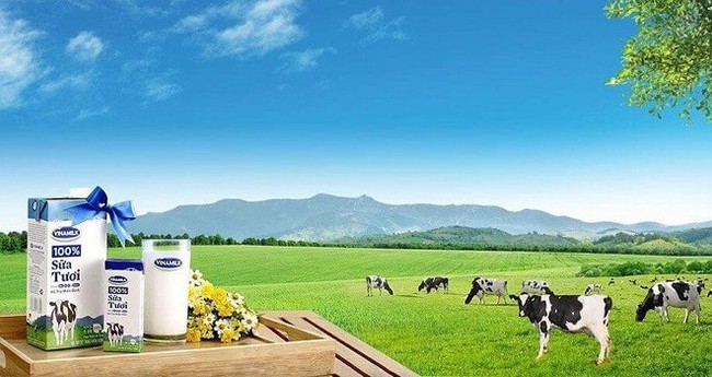 Vinamilk thận trọng về triển vọng quý 4/2020 do Covid-19 và lũ lụt