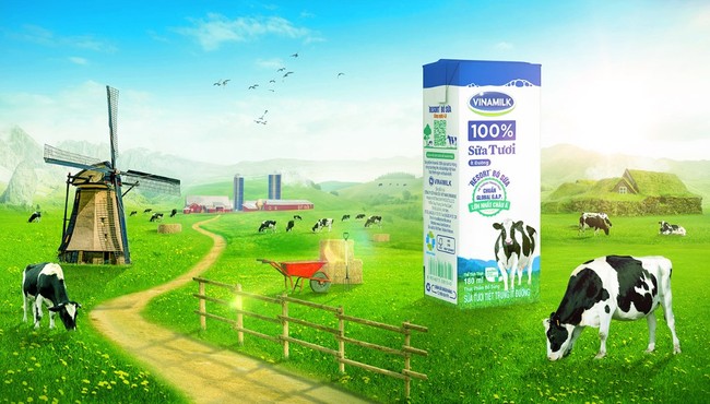 Loạt tin tốt và được khuyến nghị khả quan, vì sao cổ phiếu VNM vẫn chưa 'chạy"?