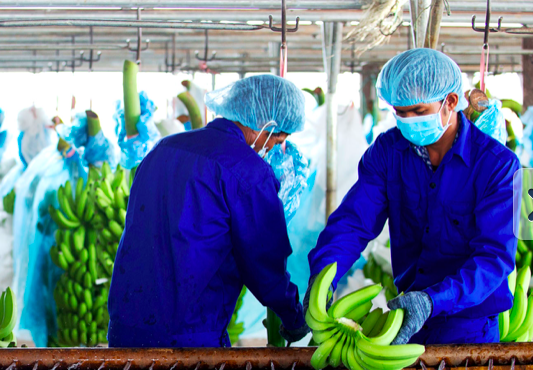 Mẹ của ông Đoàn Nguyên Đức muốn bán cổ phiếu HAG để xử lý tài chính khi cổ phiếu lập đỉnh