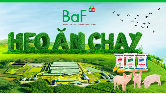 BAF sắp phát hành 68,4 triệu cổ phiếu khi lợi nhuận lao dốc, vay nợ tăng vọt