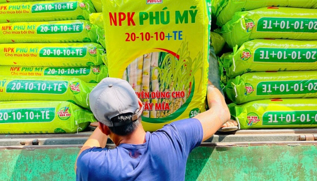 DPM lên kế hoạch lợi nhuận năm 2024 tăng 2%, cổ tức 15%