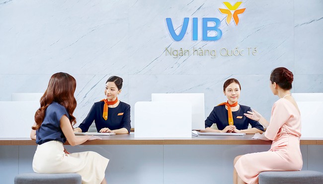 Nguồn thu chính giảm, VIB báo lãi 6 tháng đi lùi, nợ xấu tăng lên 3,66%