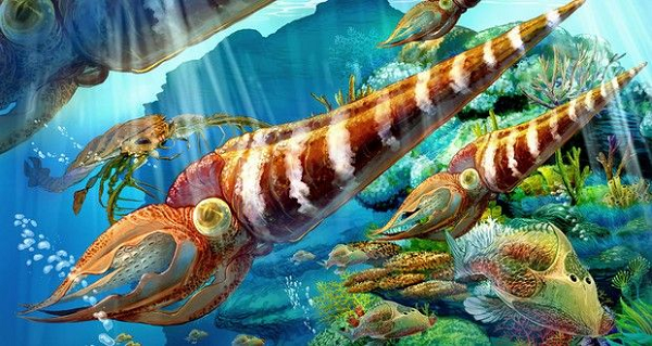 Hé lộ nguyên nhân dẫn đến cuộc tuyệt chủng bí ẩn cuối kỷ Ordovic
