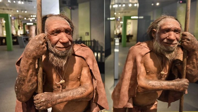 Người Neanderthal tuyệt chủng vì điều đặc biệt này? 