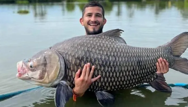 Võ sĩ Sergio Pettis đã bắt được một con cá chép Xiêm khổng lồ nặng gần 60kg