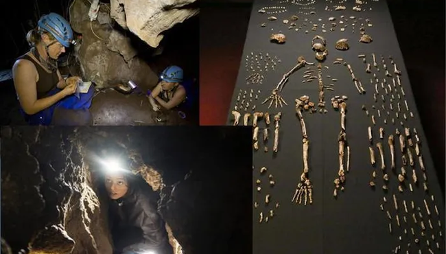 Phát hiện hài cốt của loài người cổ Homo naledi 