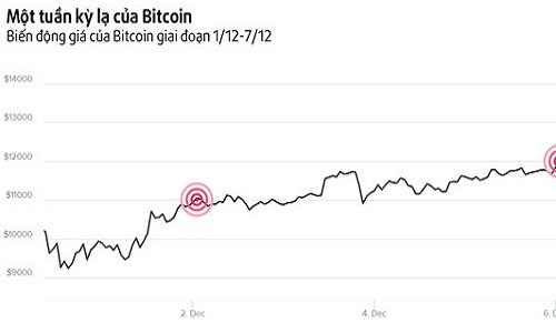 Phát hoảng với "cơn điên" của Bitcoin