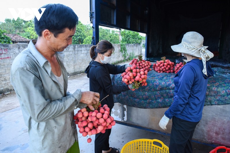 Tat bat cung nguoi dan Luc Ngan di hai vai tu luc nua dem-Hinh-10