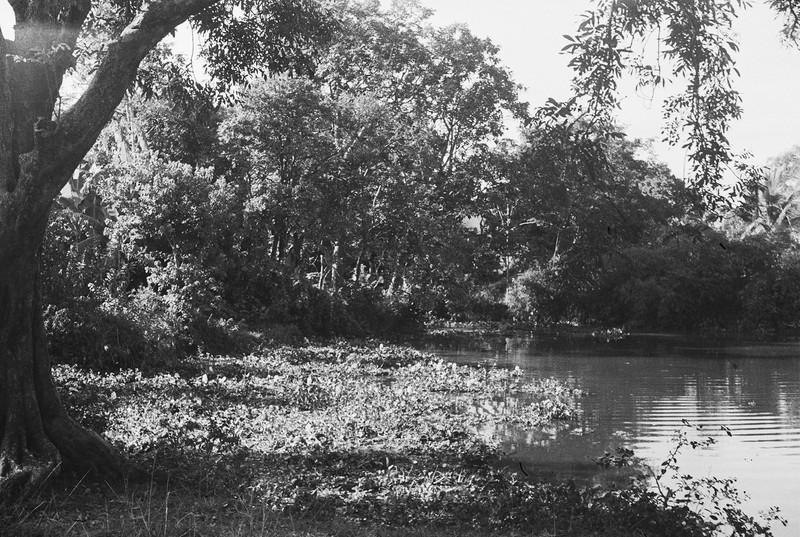 Chua Lang cua Ha Noi nam 1952 khac biet nhu nao?-Hinh-9