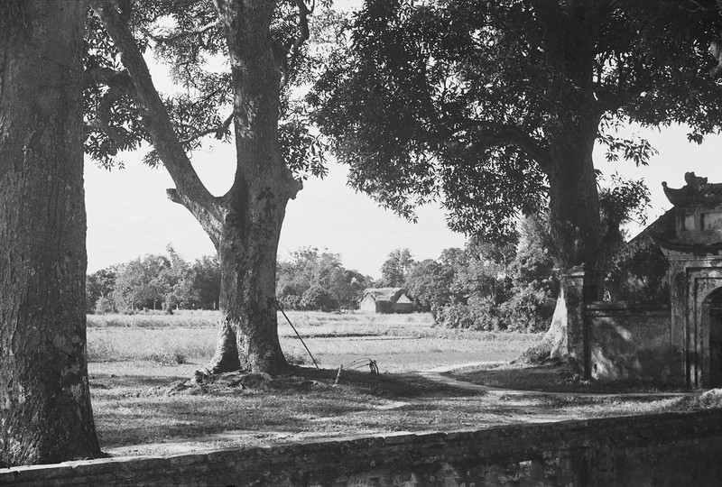 Chua Lang cua Ha Noi nam 1952 khac biet nhu nao?