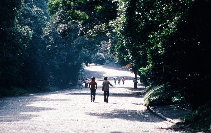 Ngam thanh pho Tokyo cuc song dong nam 1980 qua loat anh quy-Hinh-4