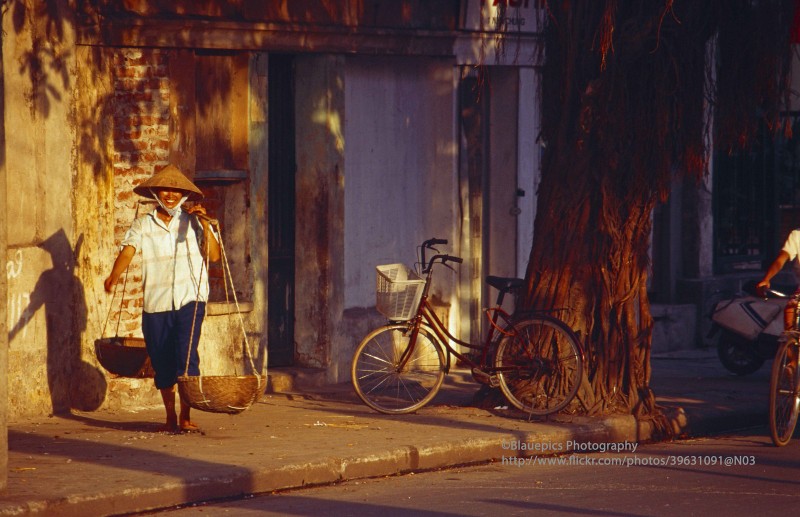 Loat anh sinh dong ve Ha Noi nam 1998 vua duoc cong bo-Hinh-3