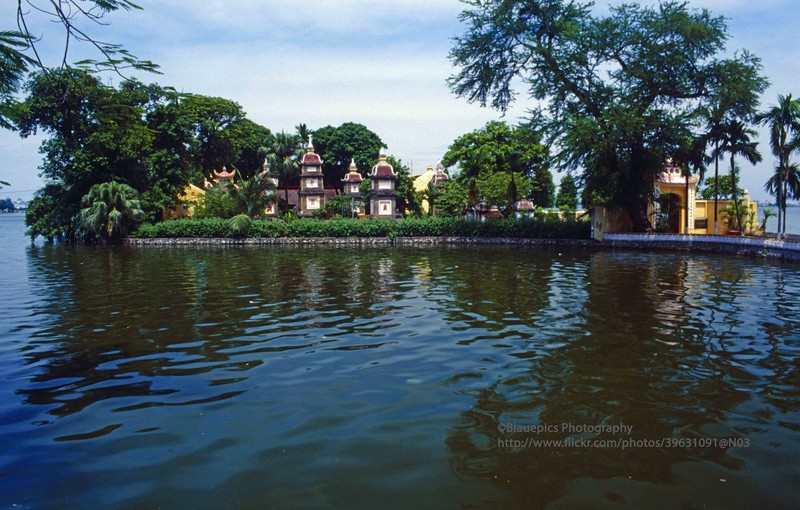 Loat anh sinh dong ve Ha Noi nam 1998 vua duoc cong bo-Hinh-7