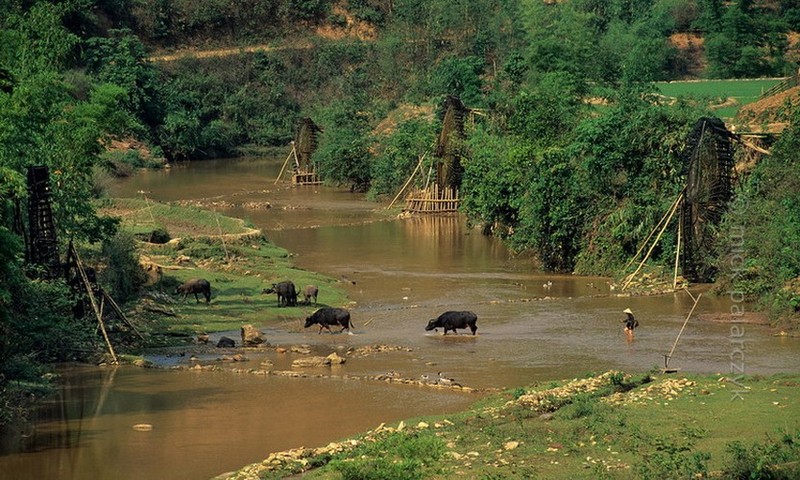 Anh dep ve phong canh Tay Bac hon mot thap nien truoc-Hinh-7