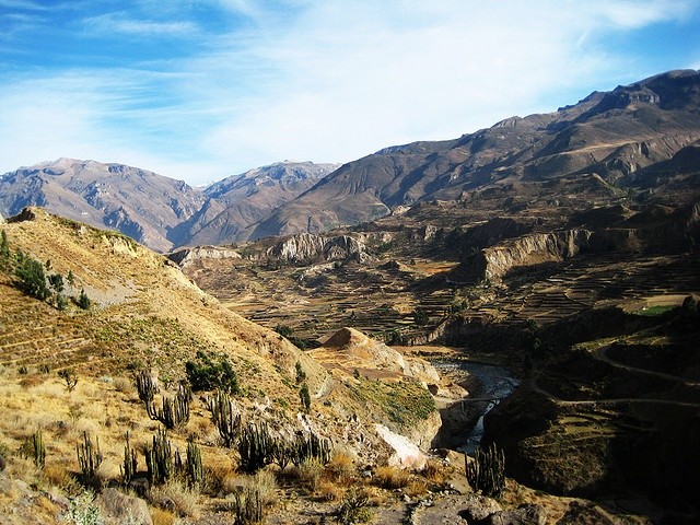 Choang ngop canh tuong o hem nui sau nhat chau My Colca Canyon-Hinh-3