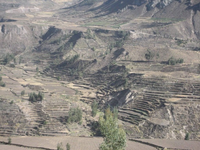 Choang ngop canh tuong o hem nui sau nhat chau My Colca Canyon-Hinh-4