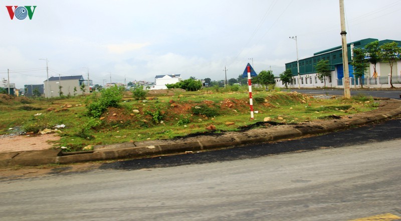 Ngam ve dep cua canh dong Muong Lo truoc khi bi anh huong vi cac du an-Hinh-16