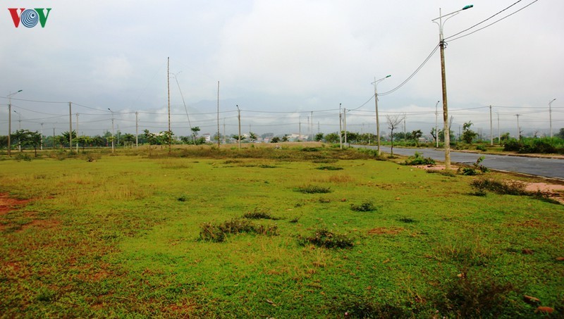 Ngam ve dep cua canh dong Muong Lo truoc khi bi anh huong vi cac du an-Hinh-17