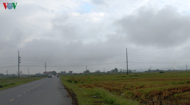 Ngam ve dep cua canh dong Muong Lo truoc khi bi anh huong vi cac du an-Hinh-3