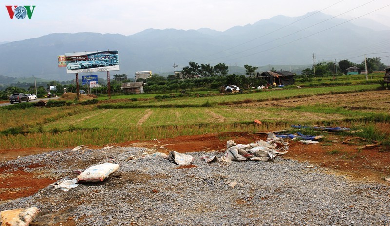 Ngam ve dep cua canh dong Muong Lo truoc khi bi anh huong vi cac du an-Hinh-9