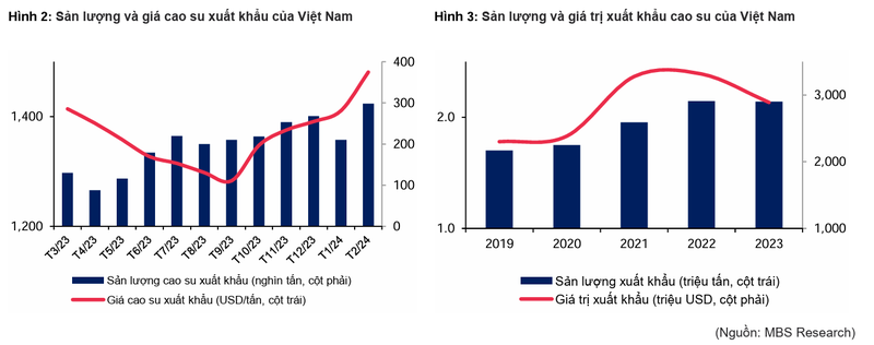 Cao su Phuoc Hoa: Loi nhuan du kien giam nhung co tiem nang tang truong dai han-Hinh-4