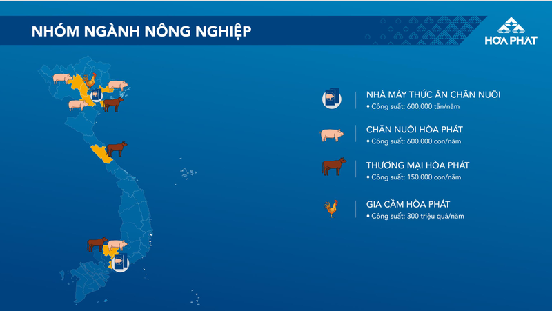 HPG: Dat 6.800 ty loi nhuan sau thue, nhung chi hoan thanh 85% ke hoach-Hinh-3