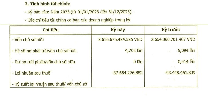 Lien tuc thua lo, Cong ty con Novaland ganh no hon 12.300 ty dong-Hinh-2