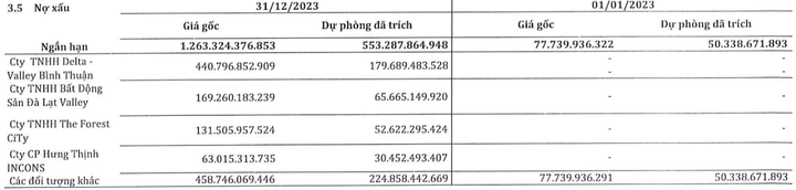 Lien tuc thua lo, Cong ty con Novaland ganh no hon 12.300 ty dong-Hinh-4