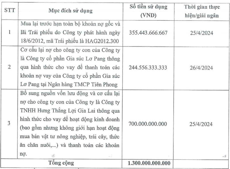 HAGL doi phuong an su dung 1.300 ty tu phat hanh co phieu rieng le-Hinh-2