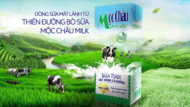 Moc Chau Milk: Doanh thu sut giam, loi nhuan cham day