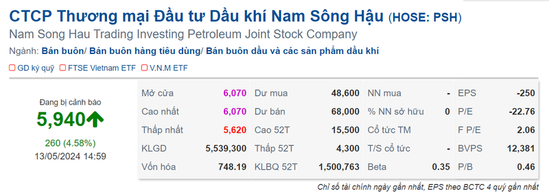 NSH Petro bi cuong che thue 1.000 ty, Hoi dong quan tri 'nhin' luong-Hinh-2