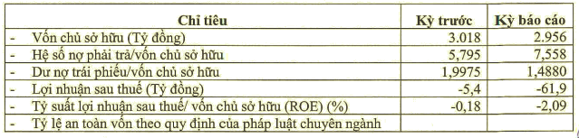 Chu dau tu Khu du lich Quoc te Doi Rong lo gan 62 ty dong-Hinh-2